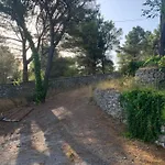 View Shkodër